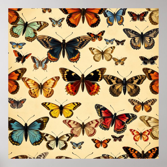 Póster Colección de Mariposas Vintage en Patrón (Frente)