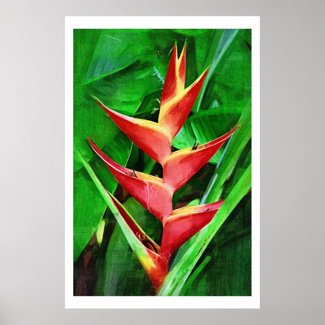 Póster Colección de pintura al óleo de heliconia tropical (Frente)