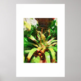Póster Colección de pintura al óleo de los Bromeliads tro