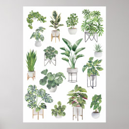Póster Colección de plantas de protección 5