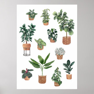 Póster Colección de plantas residenciales 3
