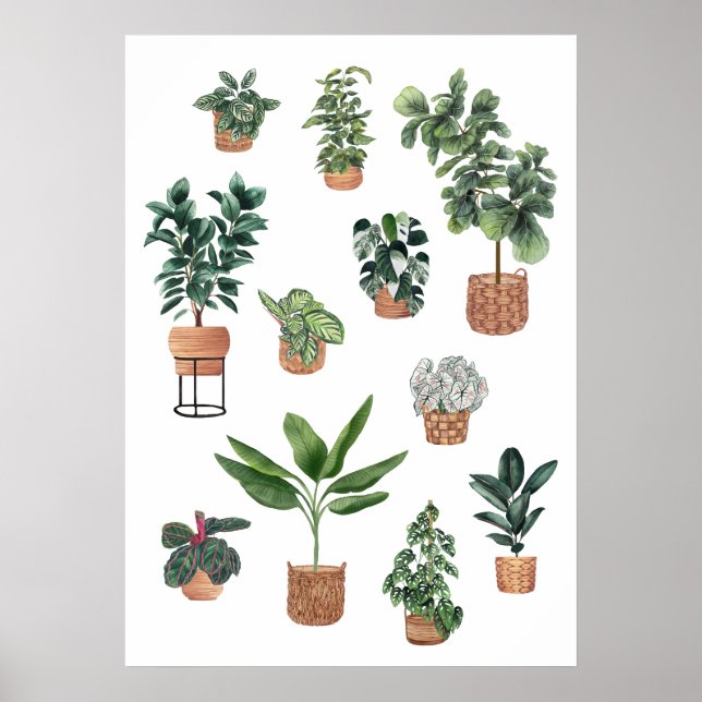Póster Colección de plantas residenciales 3 (Frente)