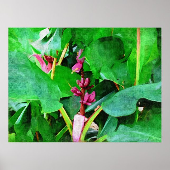 Póster Colección de plátanos de terciopelo rosa tropical (Frente)