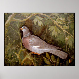 PÓSTER COLECCIÓN DE POMPEII / DOVE IN THE GARDEN