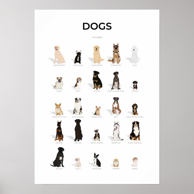 Póster Colección de razas de perros (Frente)