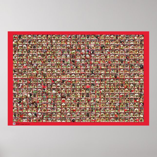 Póster Colección de retratos de perros navidades (Frente)