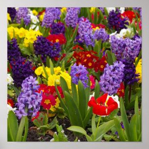 Póster Colección del arco iris