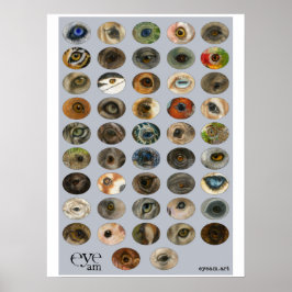 Póster Colección EyeAmArt de ojos de animales en peligro 