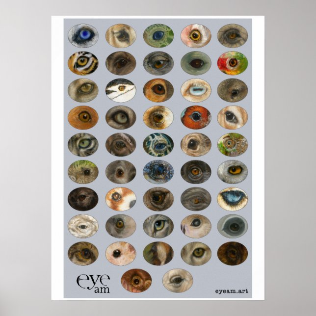 Póster Colección EyeAmArt de ojos de animales en peligro  (Frente)