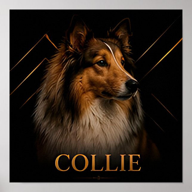 Póster Colección Pastores del Patrimonio Collie (Frente)
