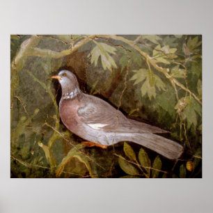 PÓSTER COLECCIÓN POMPEII / PALOMA EN EL JARDÍN