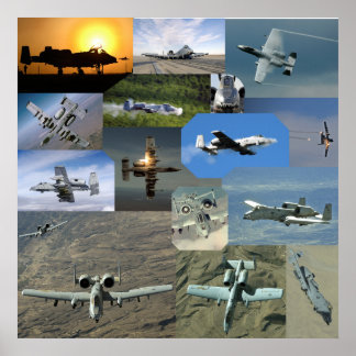 Póster Colección Warthog