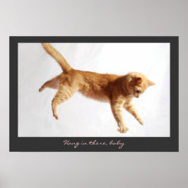 Póster Colgando Ahí