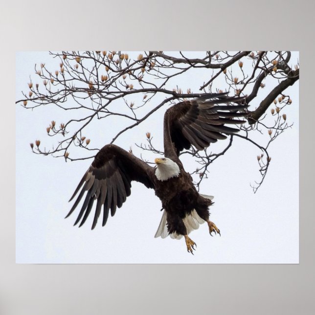 Póster Colgando En Medio-Aire (Frente)