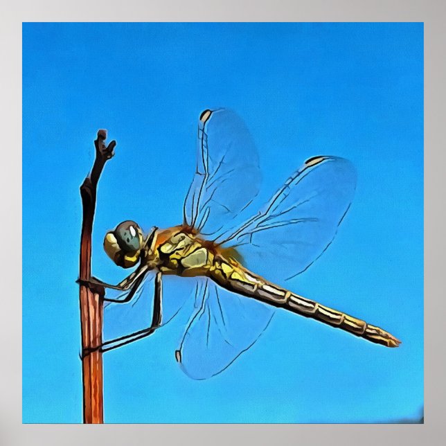 Póster Colgar Sobre La Dragonfly Artística Contra El Azul (Frente)