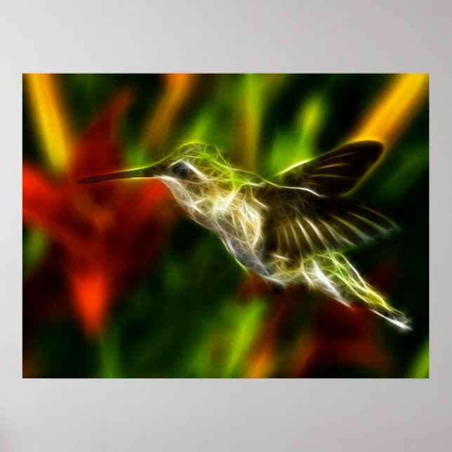 Póster Colibrí (Frente)