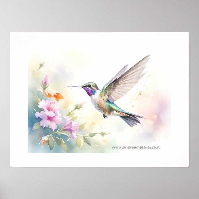 Póster Colibrí (Frente)