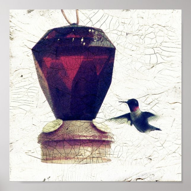Póster Colibrí (Frente)