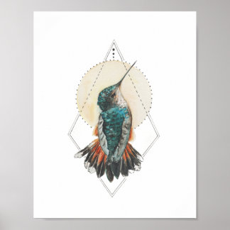 Póster Colibrí