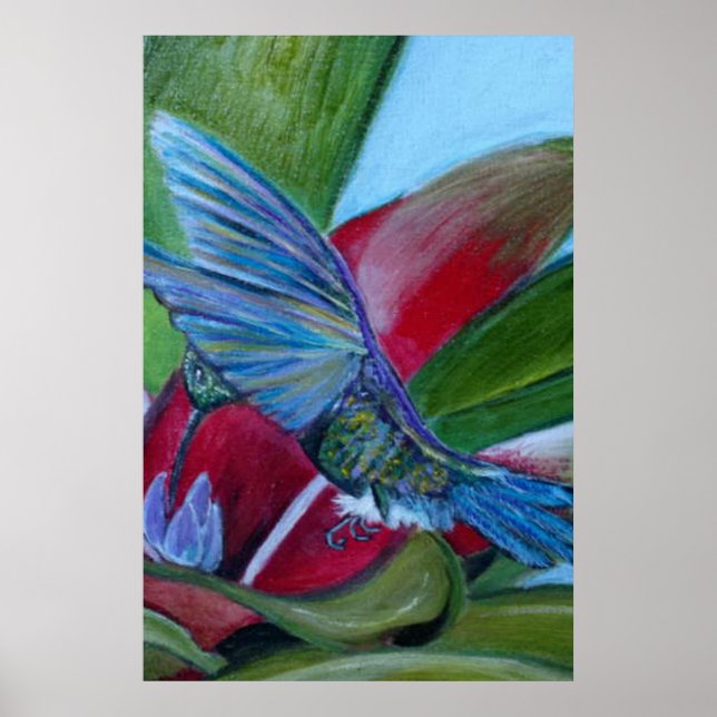 Póster Colibrí (Frente)