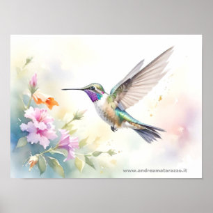 Póster Colibrí