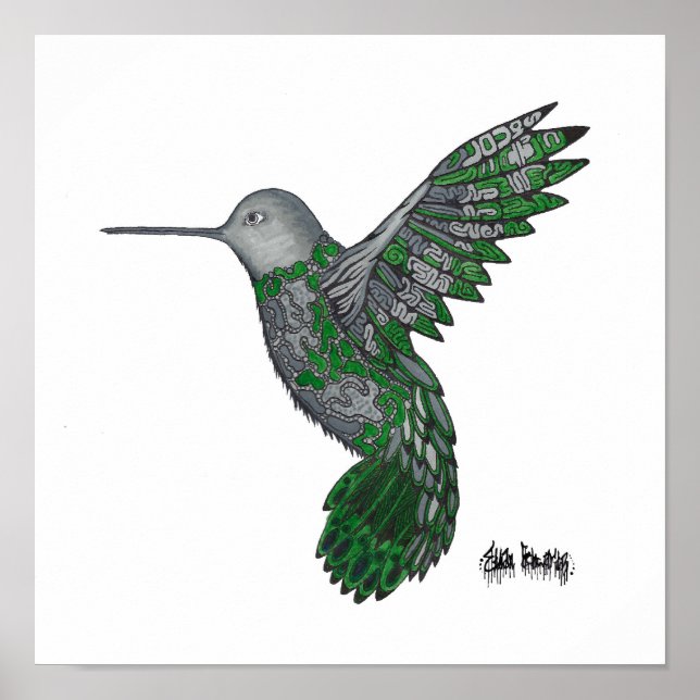 Póster Colibrí (Frente)