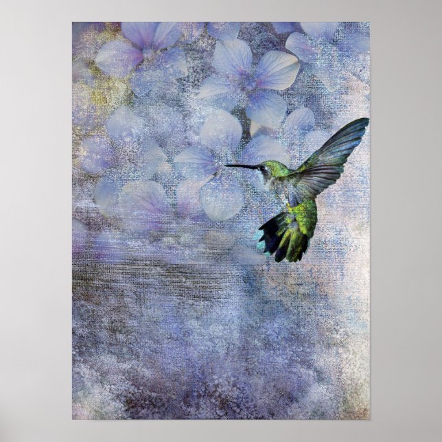 Póster colibrí (Frente)