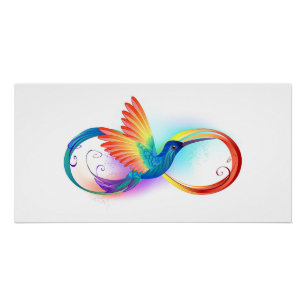 Póster Colibrí arcoiris con símbolo Infinity