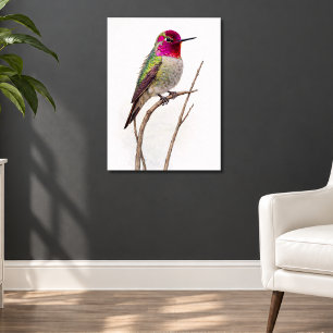 Póster Colibrí de Anna Colorido