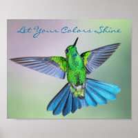 Colibrí inspiradora verde y azul