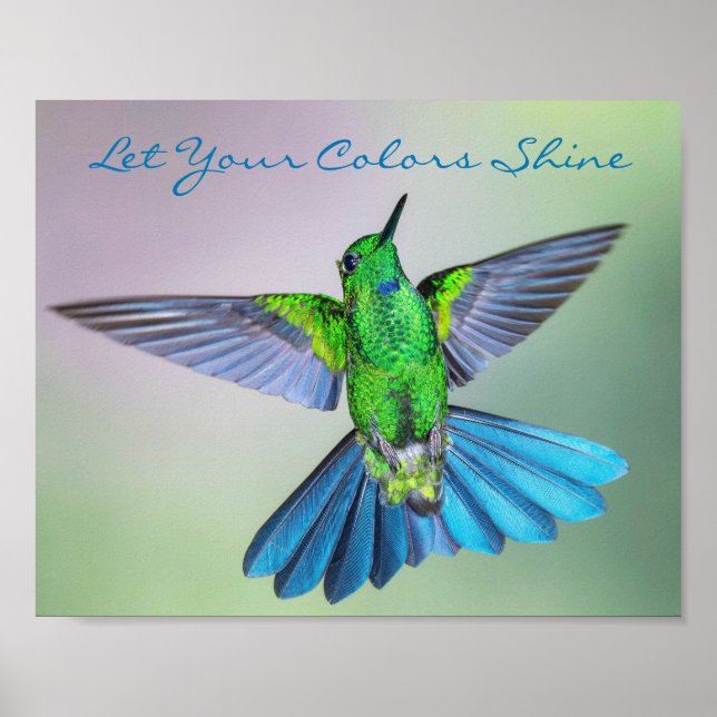 Póster Colibrí inspiradora verde y azul (Frente)