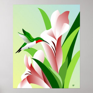 Póster Colibrí masculino Throated de rubíes del vuelo