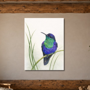 Póster Colibrí Pájaro Carpintero Corona Colorida
