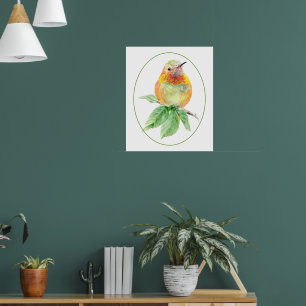 Póster Colibrí Rufous Caprichoso Aquarela Original