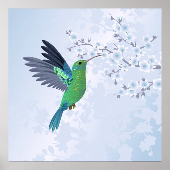 Póster Colibrí Verde Con Flor De Cerezo Azul (Frente)