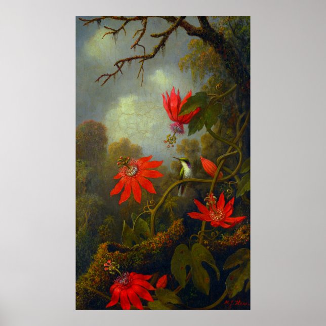 Póster Colibrí y flores de pasión (1875) Poster (Frente)