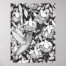 Colibrí y fucsia