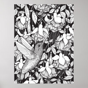 Póster Colibrí y fucsia