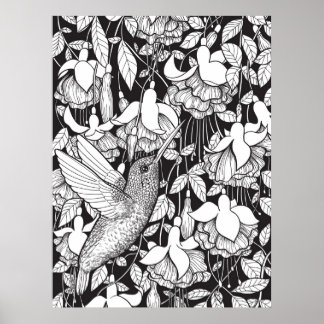 Póster Colibrí y fucsia