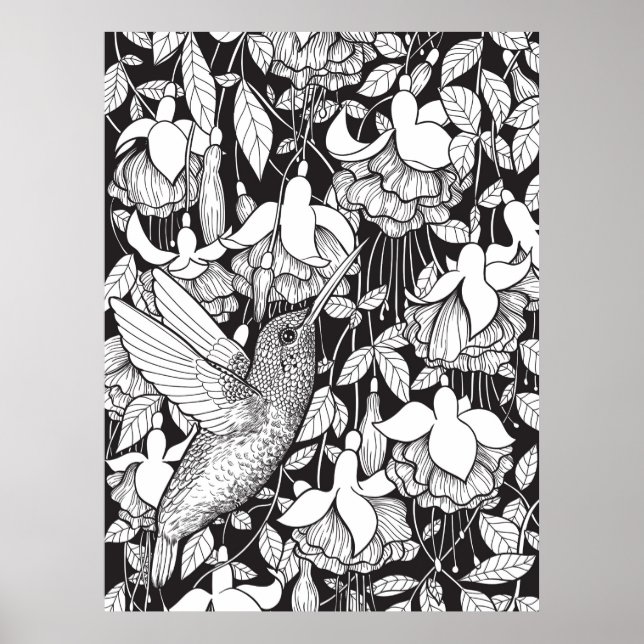 Póster Colibrí y fucsia (Frente)