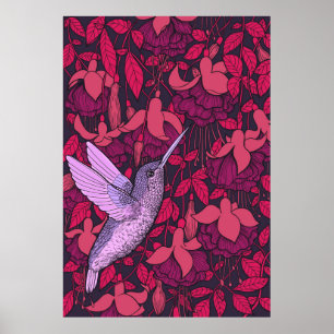 Póster Colibrí y violeta de fucsia