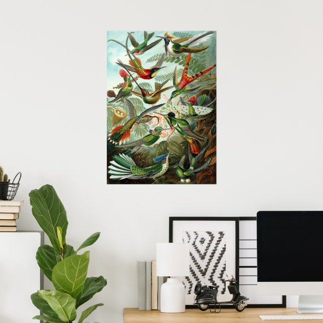 Póster Colibríes de Ernst Haeckel, aves vitícolas (Oficina en casa)