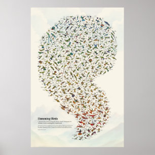 Póster Colibríes - Luz