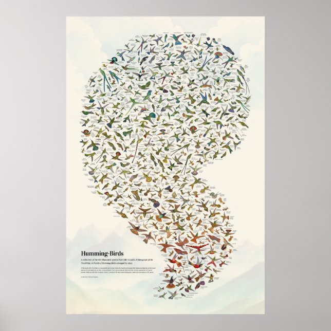 Póster Colibríes - Luz (Frente)