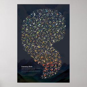 Póster Colibríes - Oscuro