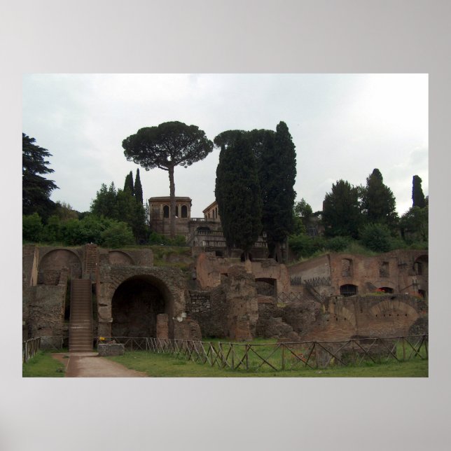 Póster Colina de Palatine en Roma, Italia (Frente)