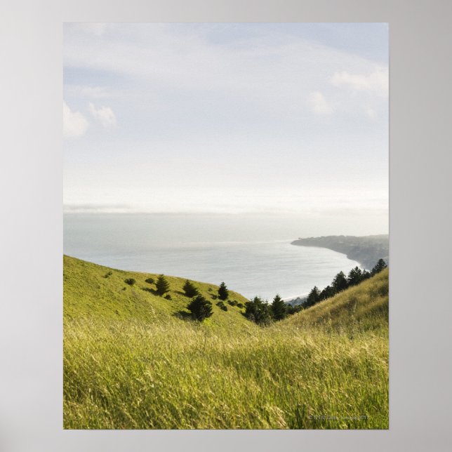 Póster Colinas costeras, Montaña Bolinas, California (Frente)
