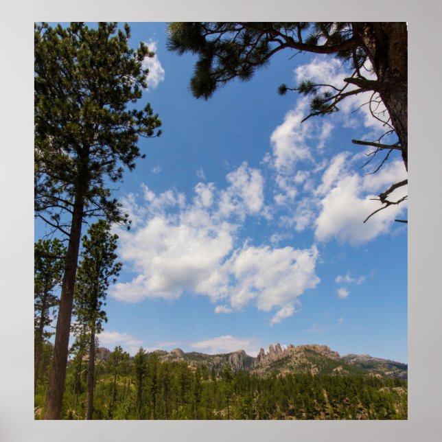 Póster Colinas negras enmarcadas por árboles, Dakota del  (Frente)