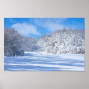 Póster Colinas nevadas del parque Marthaler
