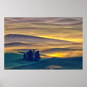 Póster Colinas rocosas de trigo al amanecer WA
